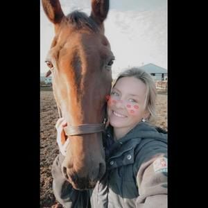 Meet your Posher, Taylor